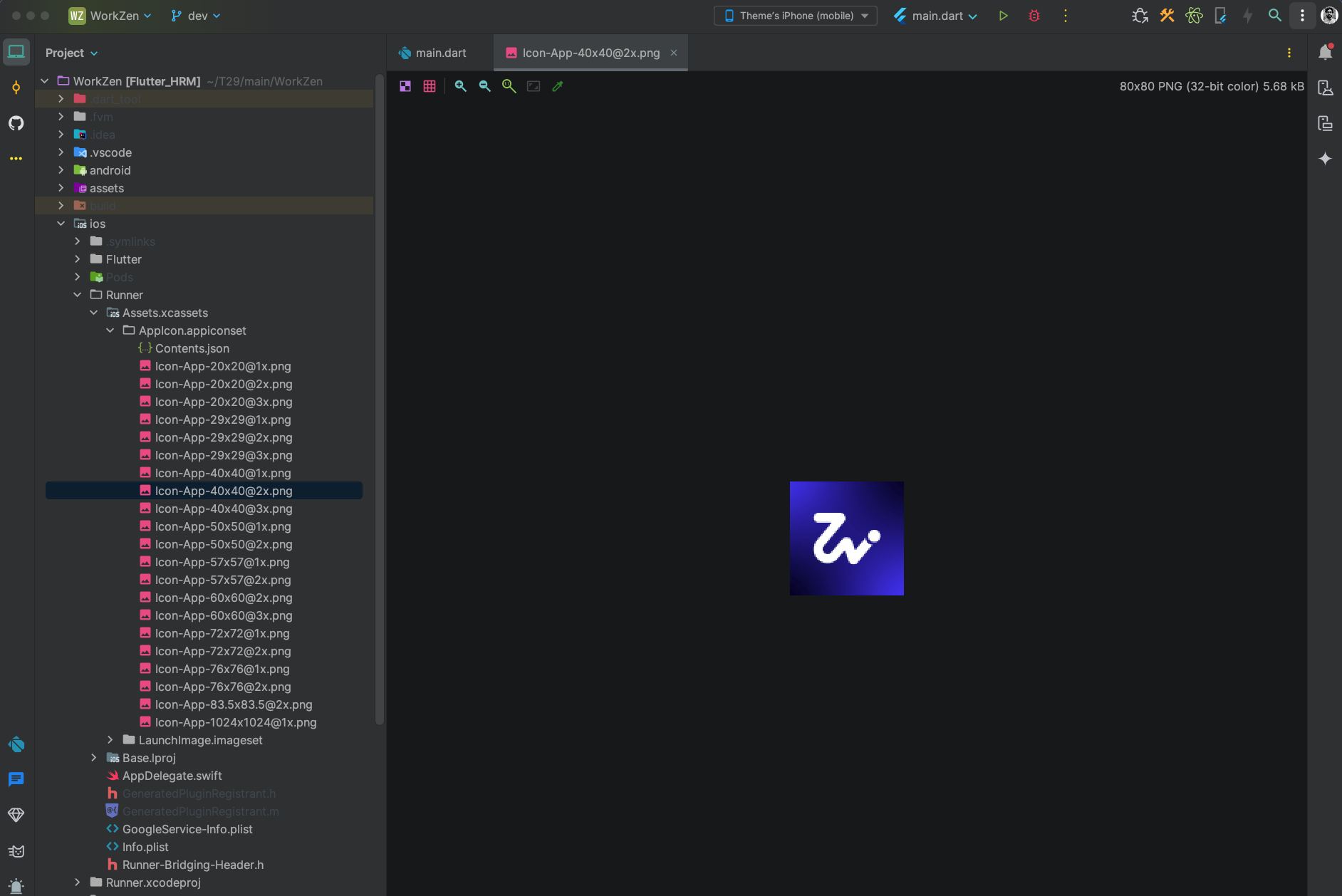 App icon customization