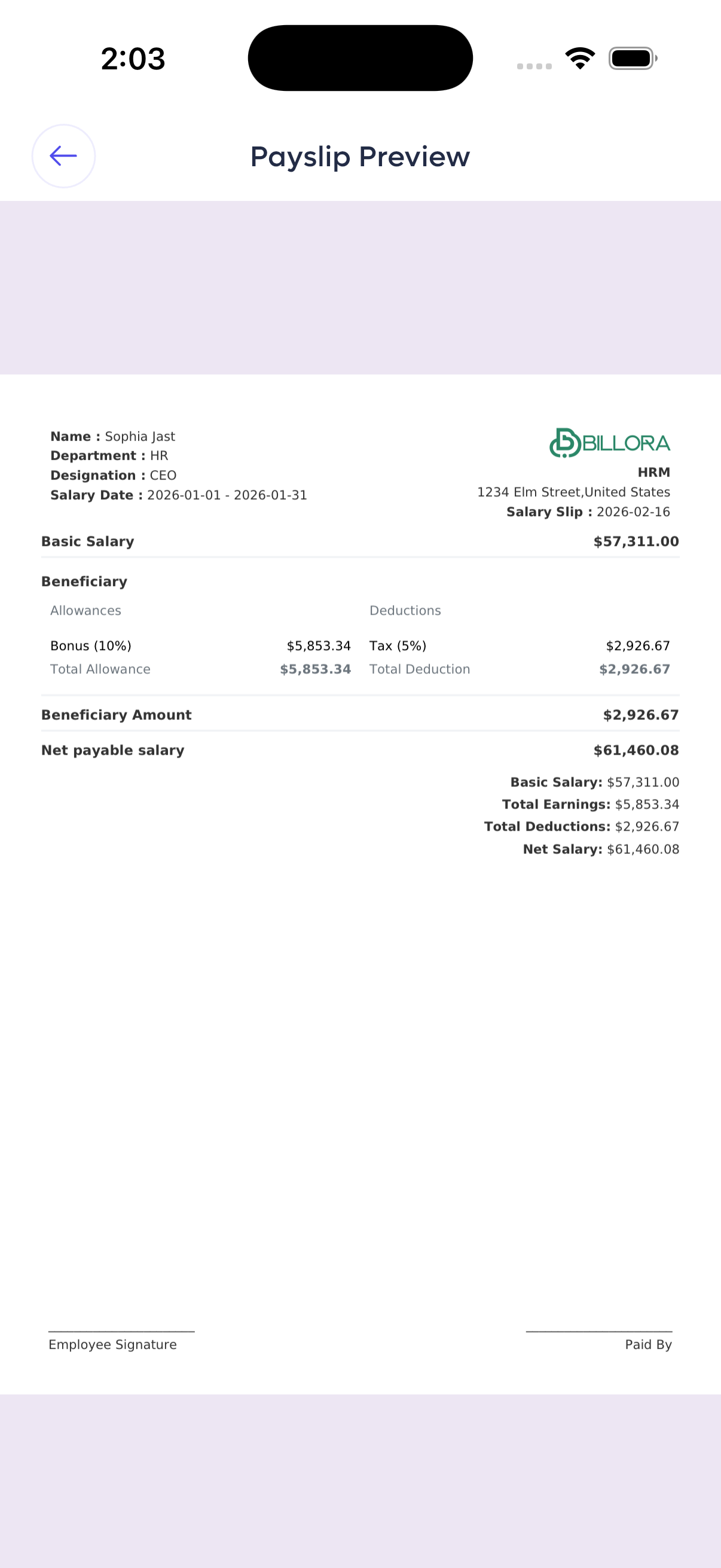 Payslip Preview