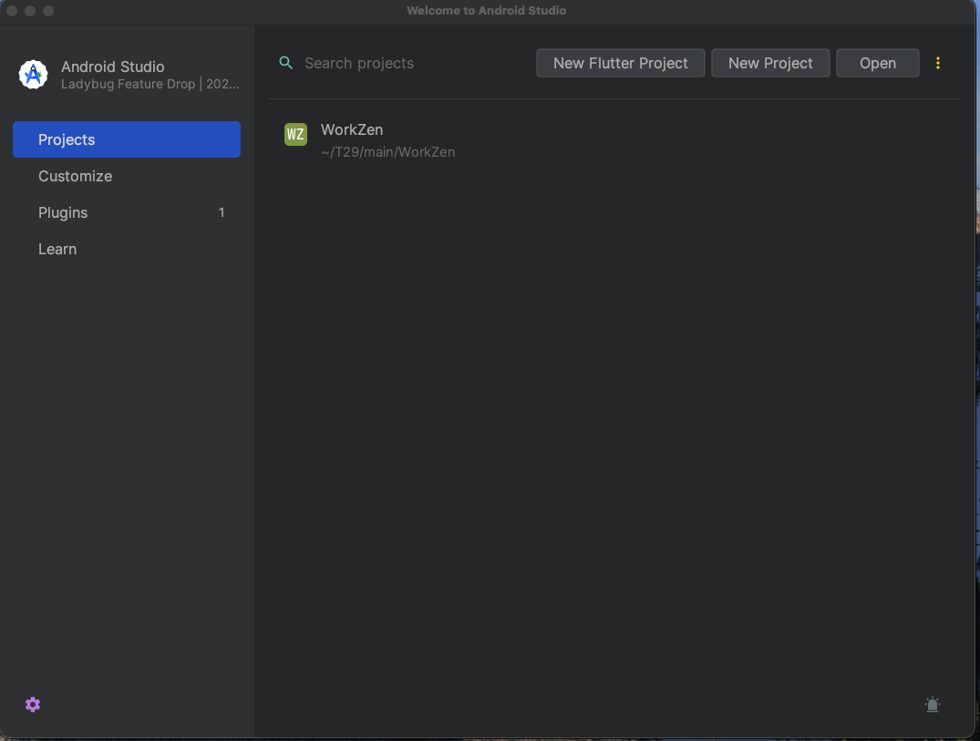 Opening the project in IDE